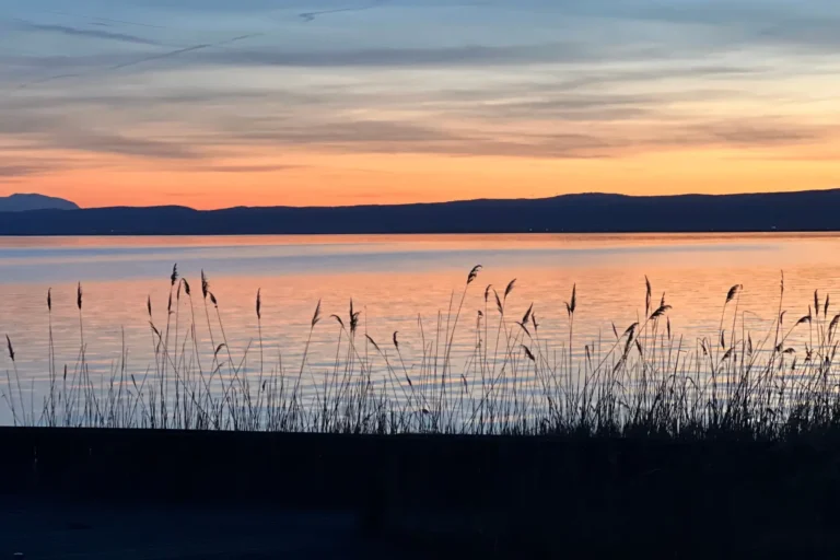 Weiden am See Veranstaltungen - Impressionen