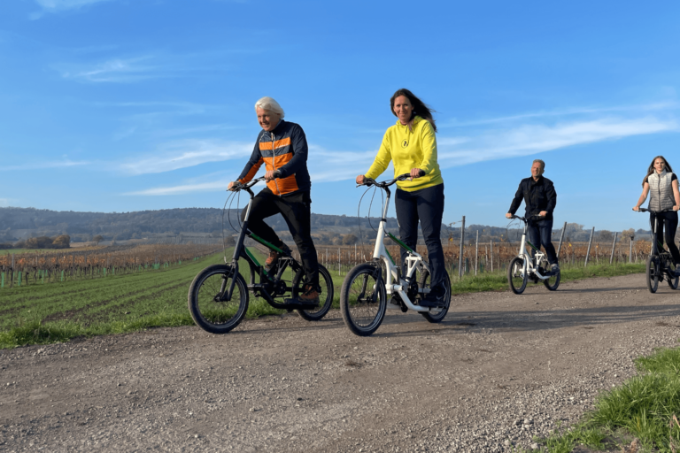 Segway-Touren - Streetstepper